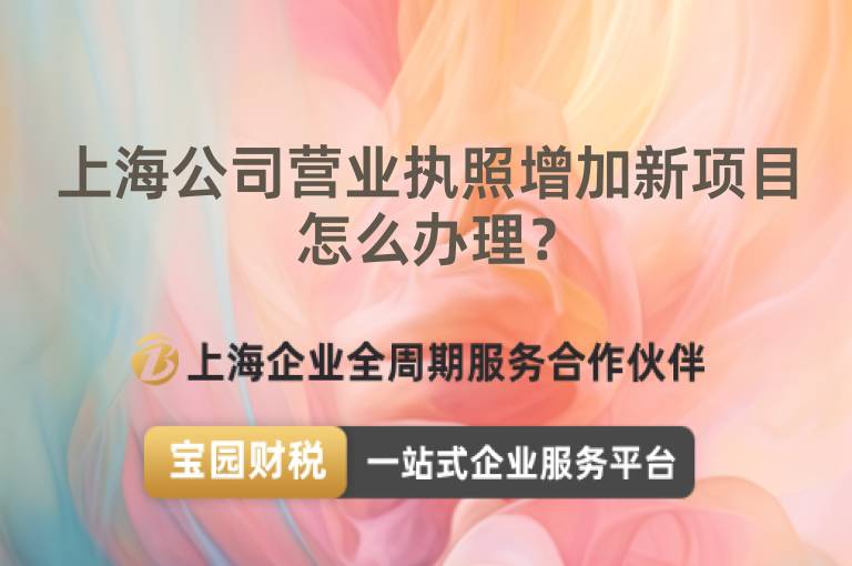 上海公司營業(yè)執(zhí)照增加新項目怎么辦理？