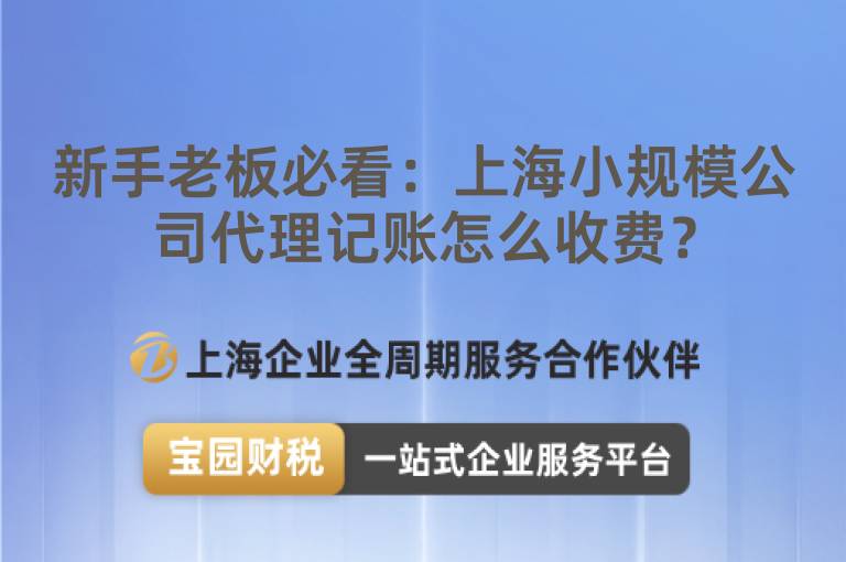 新手老板必看：上海小規模公司代理記賬怎么收費？