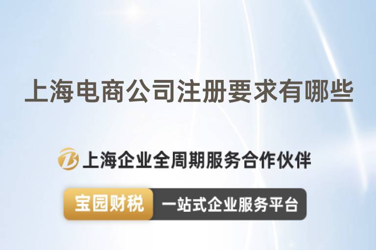 上海電商公司注冊要求有哪些
