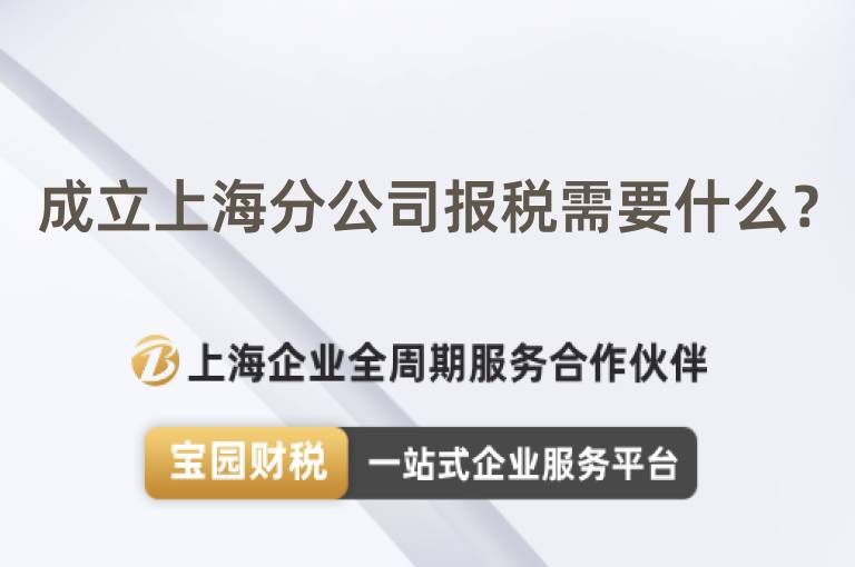 成立上海分公司報(bào)稅需要什么？