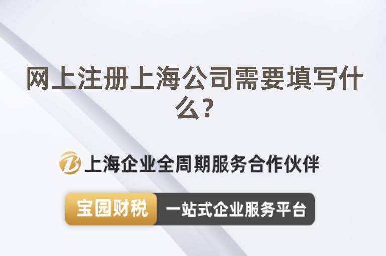 網(wǎng)上注冊(cè)上海公司需要填寫(xiě)什么？