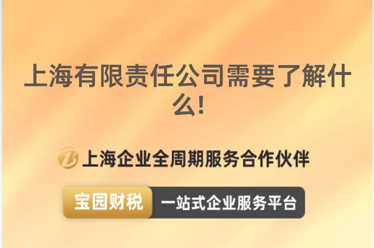 上海有限責任公司需要了解什么!