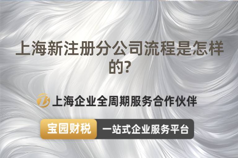 上海新注冊分公司流程是怎樣的?