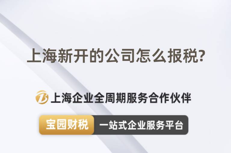上海新開(kāi)的公司怎么報(bào)稅?