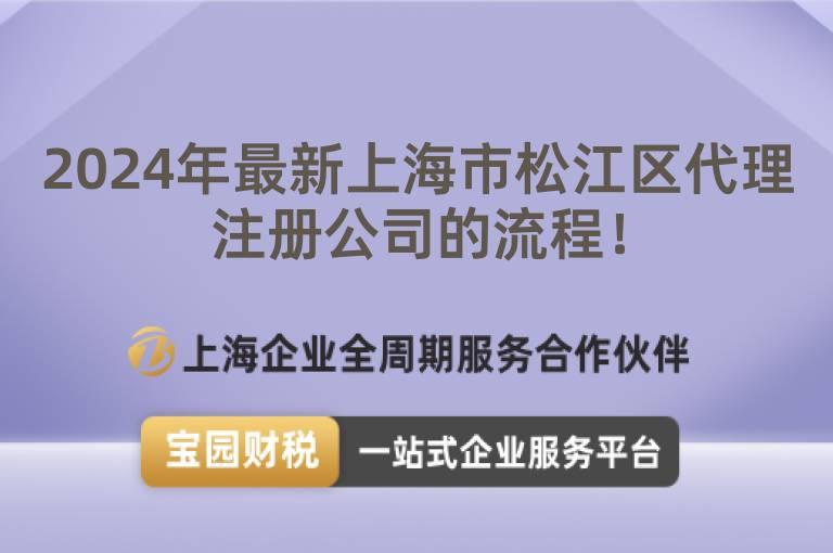2024年最新上海市松江區代理注冊公司的流程！