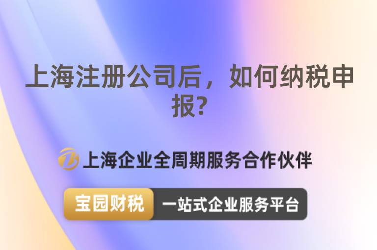 上海注冊公司后，如何納稅申報?