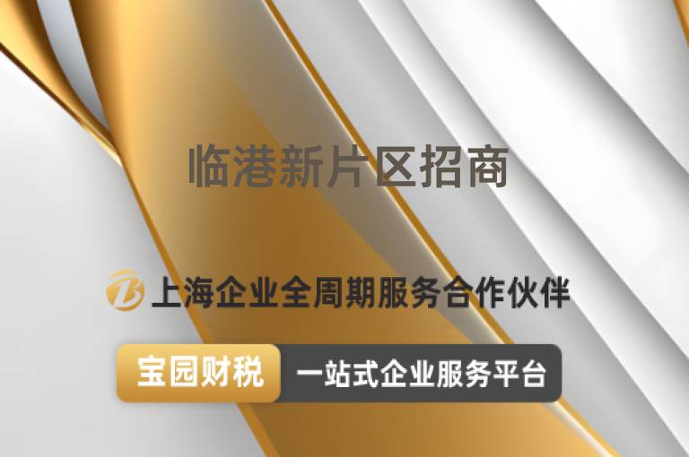 臨港新片區(qū)招商