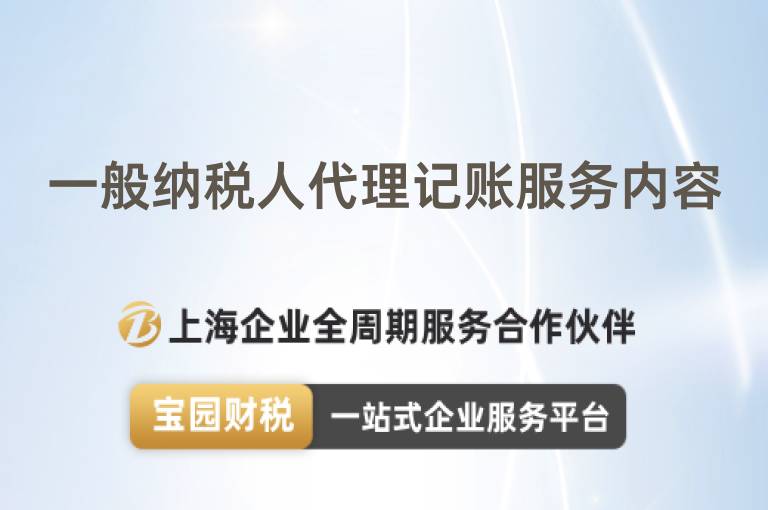 一般納稅人代理記賬服務(wù)內(nèi)容