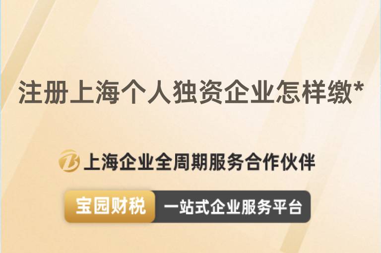 注冊(cè)上海個(gè)人獨(dú)資企業(yè)怎樣繳*