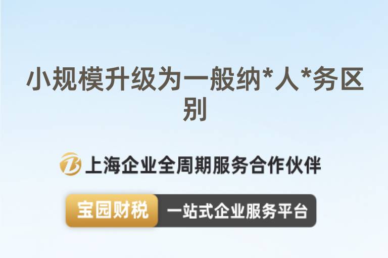 小規(guī)模升級為一般納*人*務區(qū)別