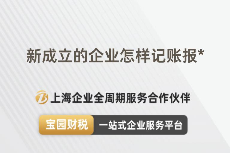 新成立的企業(yè)怎樣記賬報*