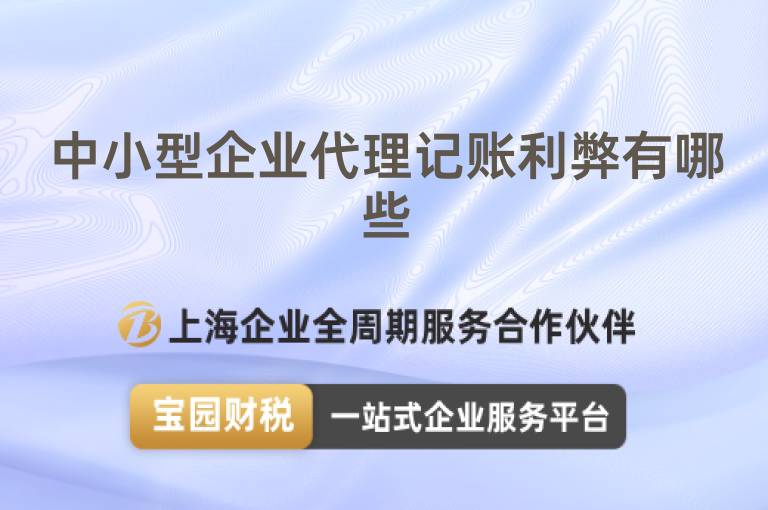 中小型企業(yè)代理記賬利弊有哪些