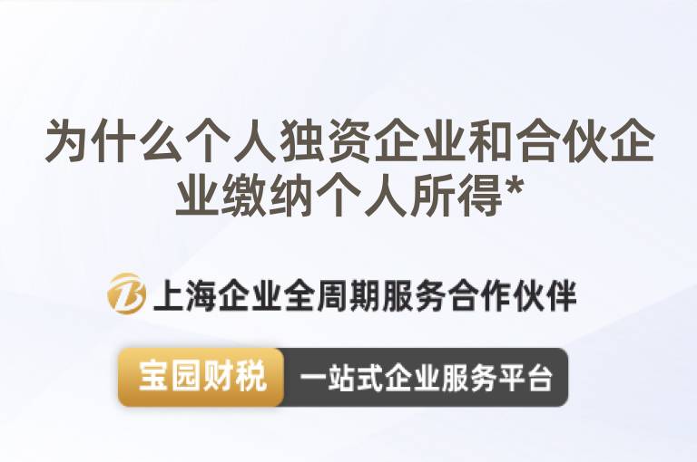 為什么個人獨資企業和合伙企業繳納個人所得*