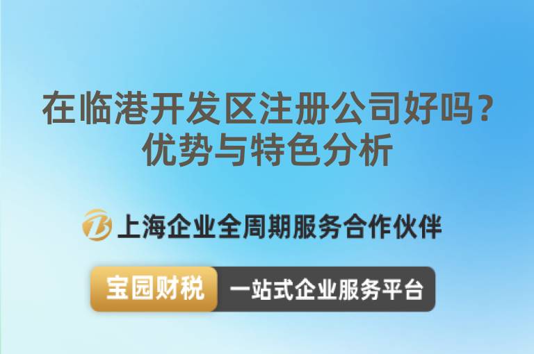 在臨港開發區注冊公司好嗎？優勢與特色分析