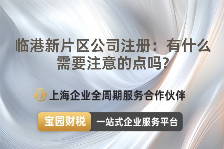 臨港新片區(qū)公司注冊：有什么需要注意的點嗎?