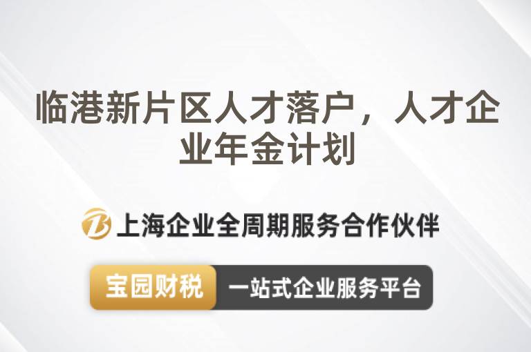臨港新片區(qū)人才落戶，人才企業(yè)年金計(jì)劃