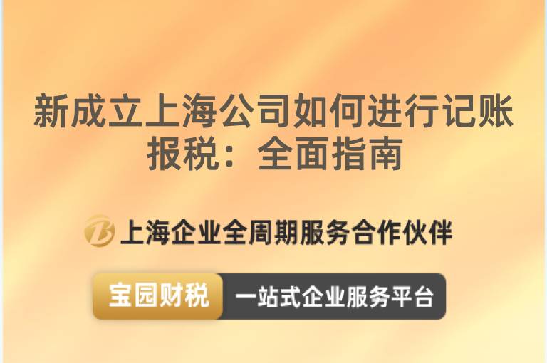 新成立上海公司如何進行記賬報稅：全面指南