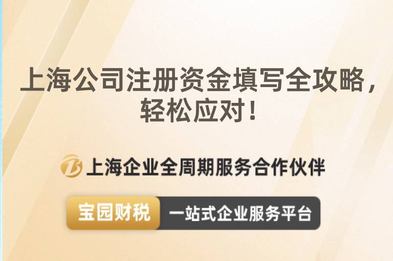 上海公司注冊資金填寫全攻略，輕松應對！