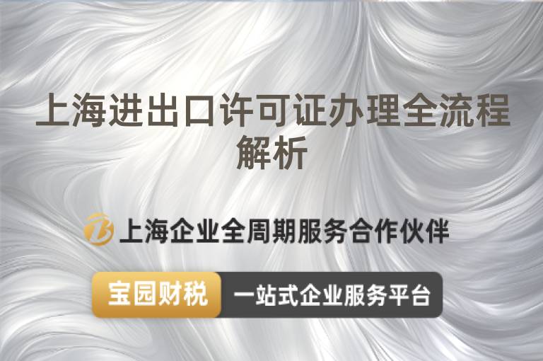 上海進出口許可證辦理全流程解析