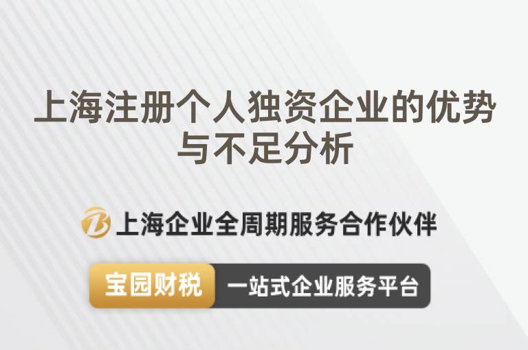 上海注冊個人獨資企業的優勢與不足分析