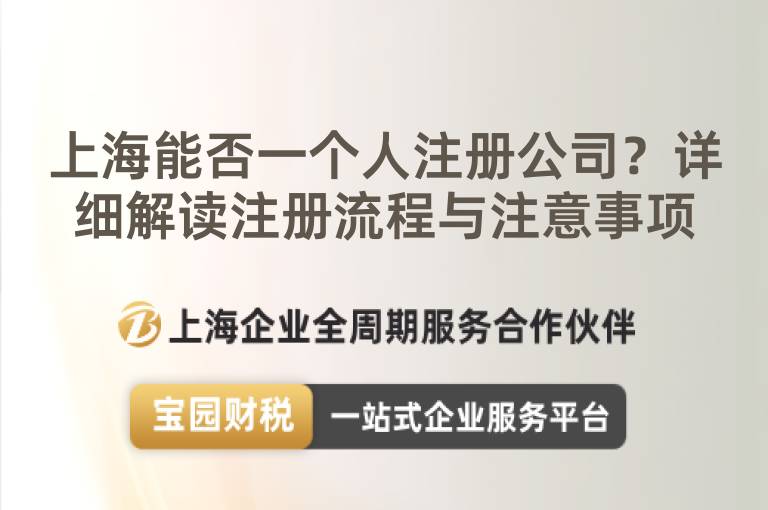 上海能否一個人注冊公司？詳細解讀注冊流程與注意事項