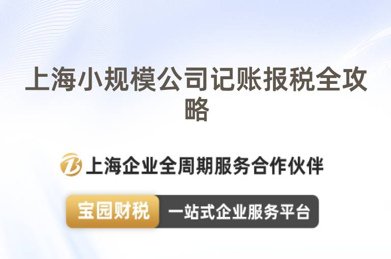 上海小規模公司記賬報稅全攻略