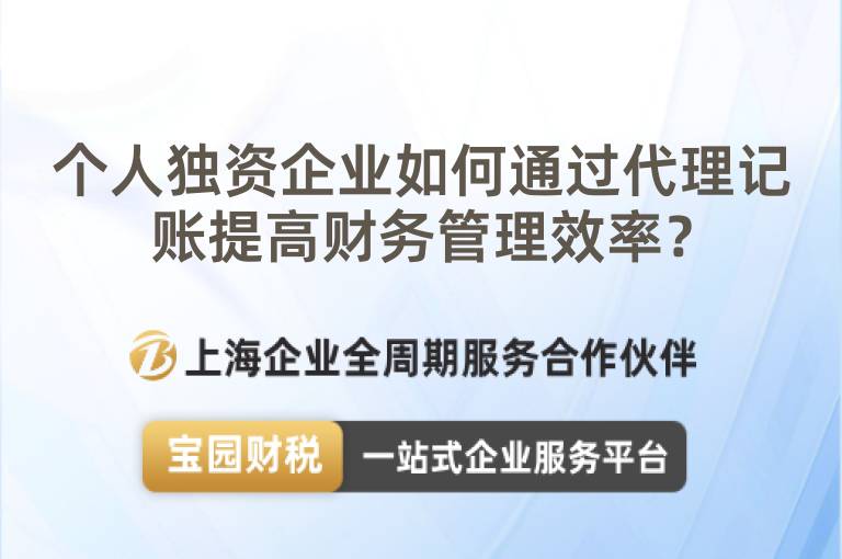 個人獨資企業如何通過代理記賬提高財務管理效率？