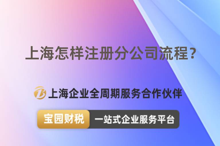上海怎樣注冊(cè)分公司流程？