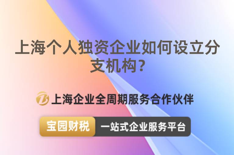 上海個人獨資企業如何設立分支機構？