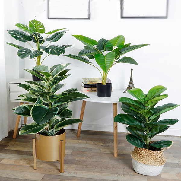 沈陽仿真植物