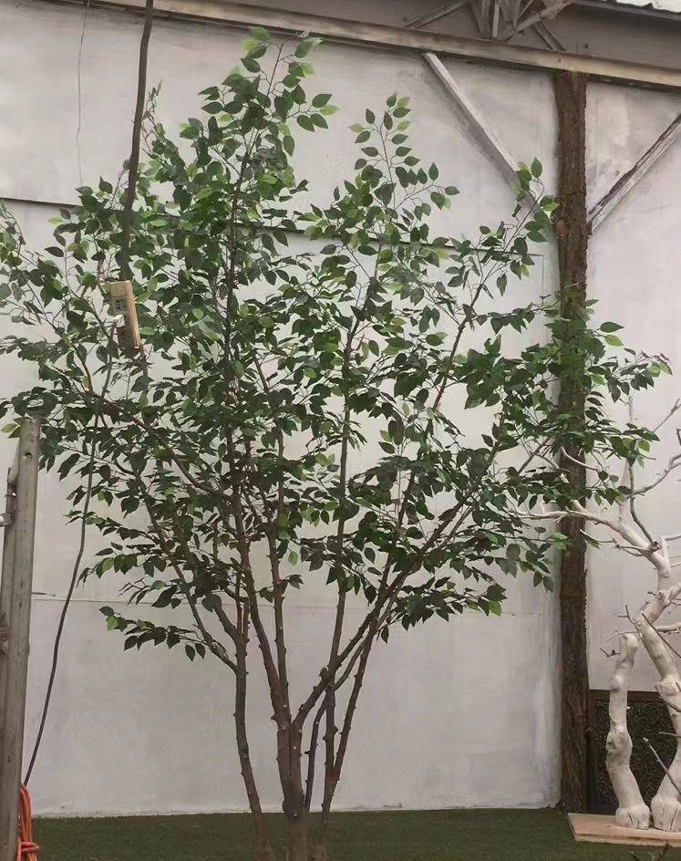 仿真榕樹(shù)